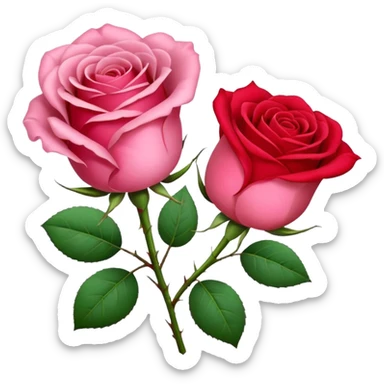 One pink🌹 and one red flower 🌹 on with red band  sticker