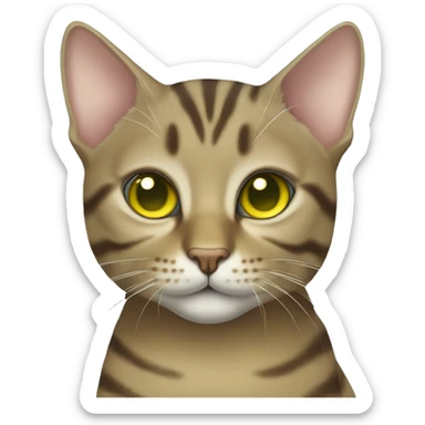 Tabby cat with greenish yellow eyes sticker