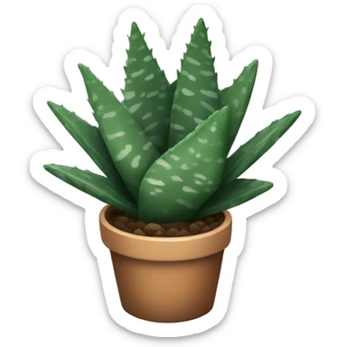Haworthia zebra succulent  sticker