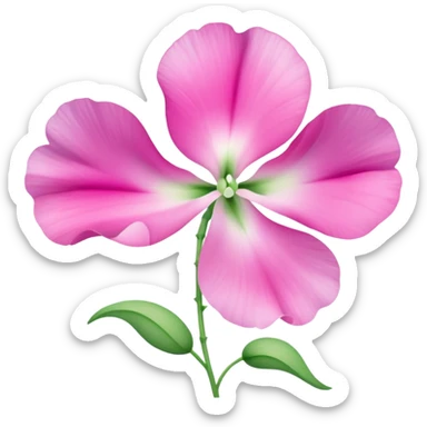 sweetpea flower, pink with dotted center sticker