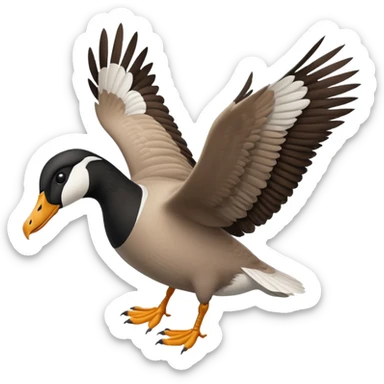 wild goose in flight, with black neck, black feet, brown wings, black-and-white head, white belly sticker