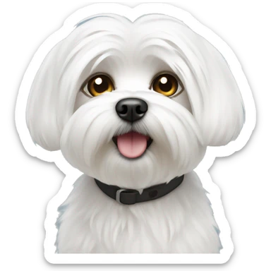 Two maltese sticker