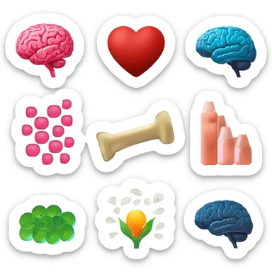 brain support
heart support
immune support
bone strength
hormone balance female
hormone balance male
Anti candida
low sugar/no sugar 
vitamins (write Vit  A, B1, B2, B3, B6, B7, B12, FOLATE AND FOLIC ACID, C, D, E AND K )  
Iron
Magnesium 
no yeast 
Anti inflammation sticker