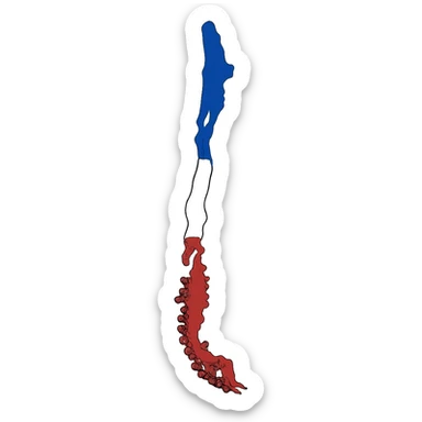 flat toon style Chile country map with flag colors sticker