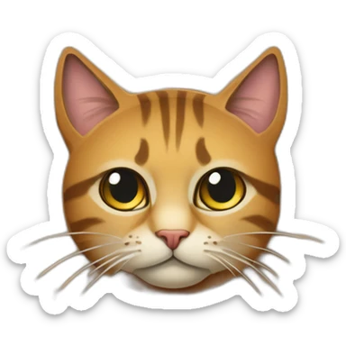 staring cat on cardboard scratcher sticker