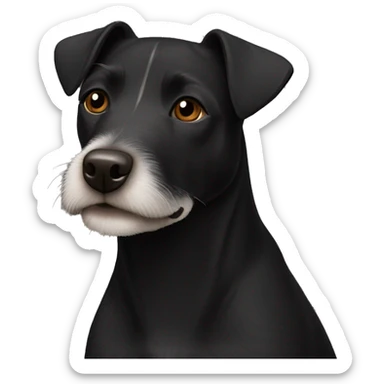 A black Patterdale Terrier dog with a white patch on its chest and brown eyes. sticker