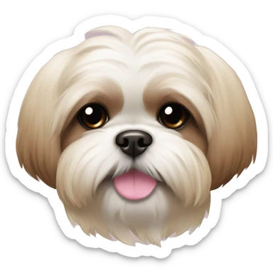 shih tzu cream colored with a brown nose and muzzle with pink bow sticker