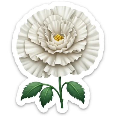 White Carnation flower sticker