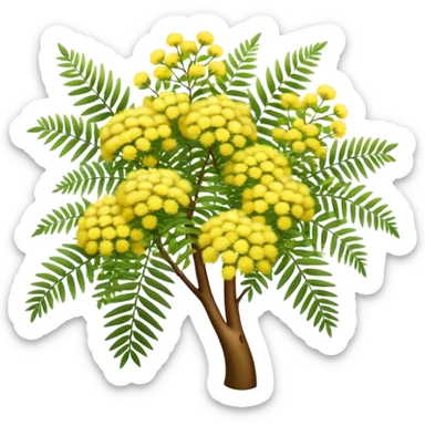 Cinematic Realistic Acacia Emoji, Bright and cheerful, with clusters of fluffy yellow flowers blooming along delicate branches. The wattle’s soft, fern-like leaves sway in the breeze, radiating a sense of warmth and joy. Soft glowing outline, capturing the essence of Australian sunshine, warmth, and beauty in a vibrant acacia tree! sticker
