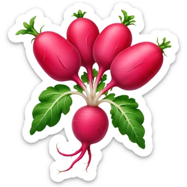 radish, whole, round, pink-red, white root tip, smooth glossy, crisp, green leafy tops, no dirt, no slicing, no extras, soft lighting, emoji scale sticker