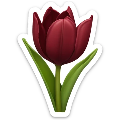Dark red tulip bouquet  sticker