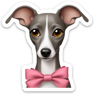 Italian greyhound with bows sticker