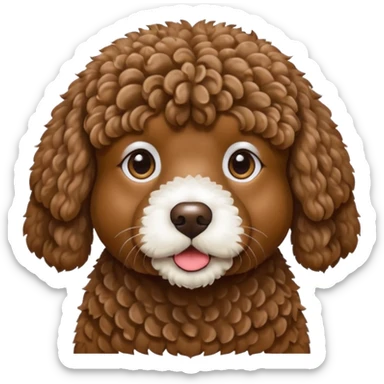 A brown spanish water dog sticker