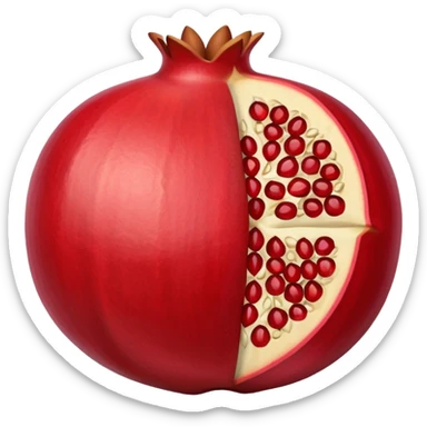 Opened pomegranate from middle into 4 direction  sticker