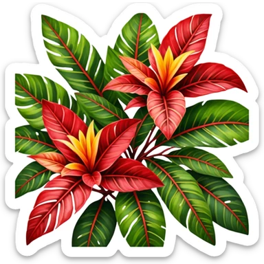 red Variegated Codiaeum sticker