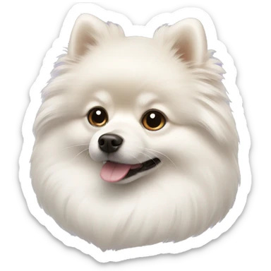 White Pomeranian  sticker