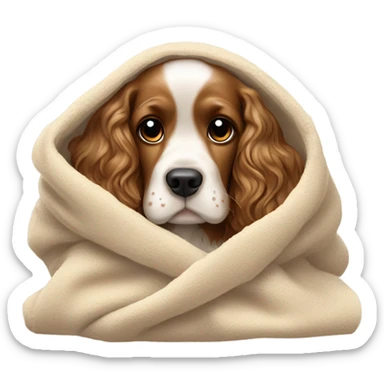 Cocker spaniel in a blanket sticker