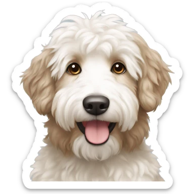 White and beige aussiedoodle sticker