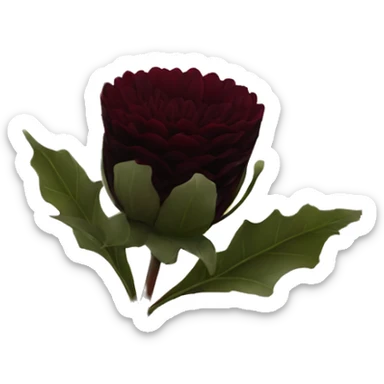 give me a black dahlia flower with a black color and burgundy red. sticker