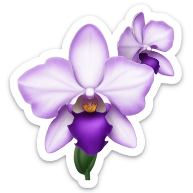 orchid flower sticker