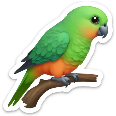 Female red bellied parrot sticker