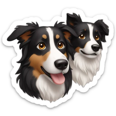 man and woman and Black colour hair Border collie with Brown eyes and a stout on the nose sticker