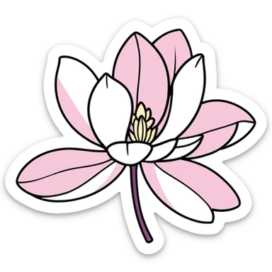 close-up of blooming magnolia flower with soft overlapping petals in shades of white pink and a hint of purple against a blurred natural background sticker