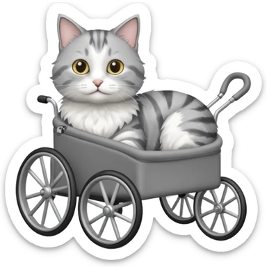 grey and white cat in a pet wheelchair sticker