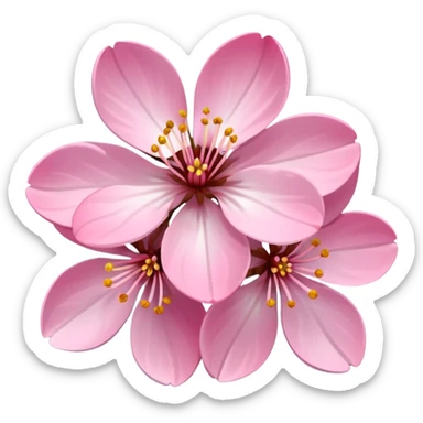 pink cherry blossom sticker