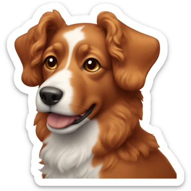 Light red dog with curly hair on ears and a white snout sticker