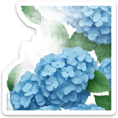 blue hydrangeas  sticker