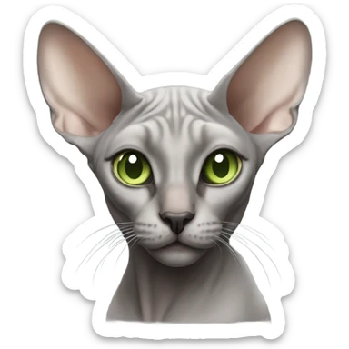 Gray sphinx cat with a black nose and light green eyes sticker