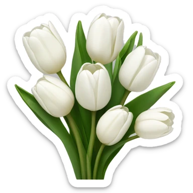 Bouquet of white tulips sticker