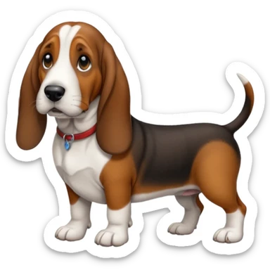 Basset hound with smaller ears, brown face black nose and black ears. White belly chest and feet sticker
