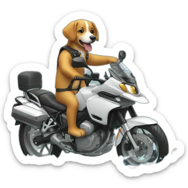 un chien sur une moto sur l'eau sticker