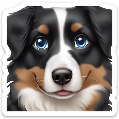 Mini black tri-colored Australian Shepherd with blue eyes ￼ sticker