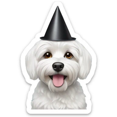 A Maltese black dog wearing a party hat sticker