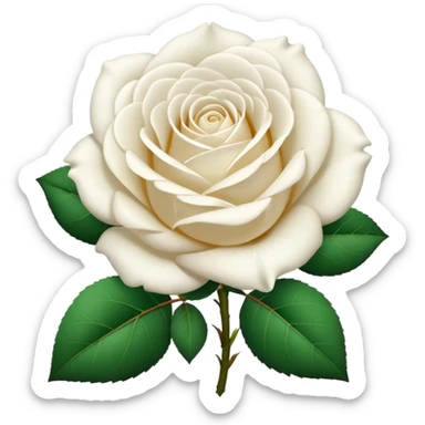 white rose, without green leaves, just flower sticker