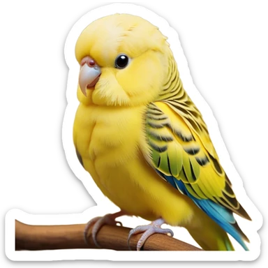 Cinematic Noble Yellow Budgie Portrait Emoji, Poised and regal, with a petite, delicate build and a smooth, well-groomed fur of brilliant yellow feathers, deep-set soulful dark eyes, Simplified yet sharp and sophisticated features, highly detailed, glowing with a soft, dignified glow, high shine, intelligent and charming, stylized with an air of elegance, focused and attentive, soft glowing outline, capturing the essence of a watchful and confident avian companion, so majestic it feels as though it could flutter out of the screen with effortless authority! sticker