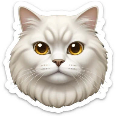 Tan and white Persian cat with tan ears and white face and golden eyes  sticker
