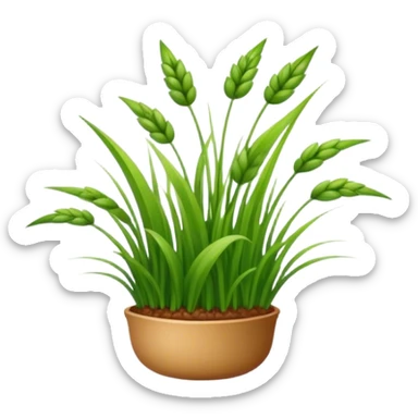 buckwheat grass sticker