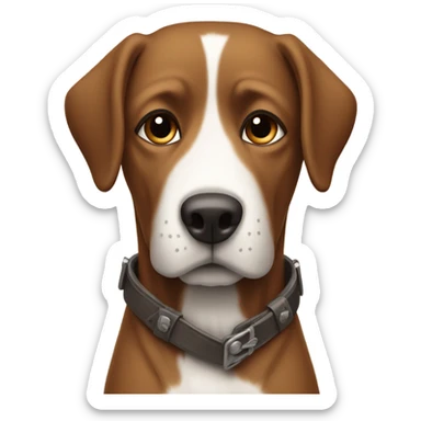 Large and sad brown and white dogs standing and wearing boots sticker
