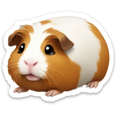 Guinea pig with a broken foot  sticker
