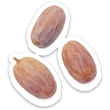 dried dates, soft and artistic watercolor sticker