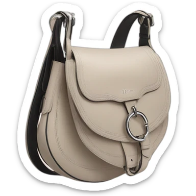Dior saddle bag sticker