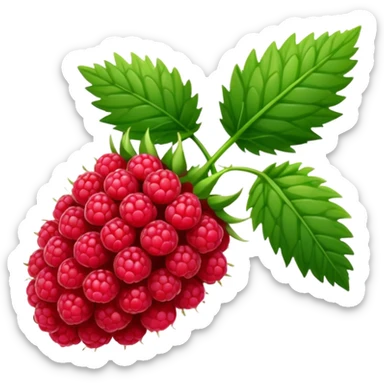 Single stem of raspberries without berries sticker