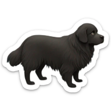 newfoundland province sticker