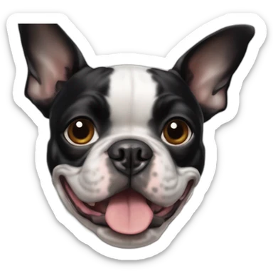 Chiens de type Boston terrier de 4 ans une femelle sticker