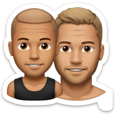 Fast & Furious dominic toretto and paul walker sticker