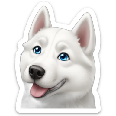 Young White Siberian husky smile  blue eyes sticker